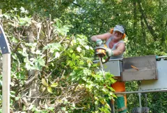 Schnitt der Gehölze im Volkspark Kleinzschocher