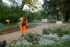Herbstbepflanzung im Clarapark