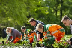 Stadtreinigung Leipzig ruft zum Abfall sammeln am Heuweg auf