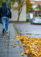 Das ist bei der Laubentsorgung zu beachten