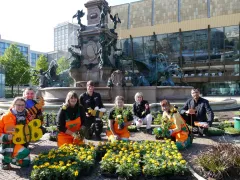 Sommerbepflanzung in diesem Jahr mit besonders insektenfreundlichem Beet