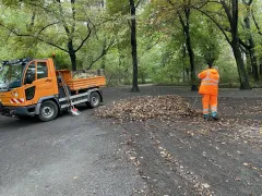 Wie entsorge ich Laub?