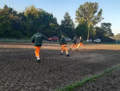 Neue Blühwiese entsteht