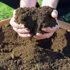 So funktioniert das Kompostieren