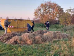 Grünschnitt am Wegesrand zu entsorgen, schadet der Natur