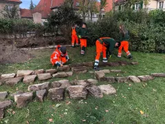 Unsere Azubis sanieren eine historische Mauer auf dem Arminiushof