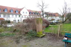 Abschluss der Pflegearbeiten am Arminiushof