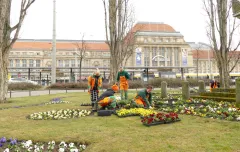 Leipziger Innenstadt blüht auf