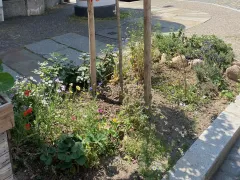 Lieferant für Baumscheibenreinigung gesucht