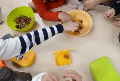 Rückblick zum Schulprojekt „Nachhaltiges Leipzig“