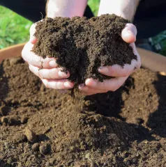 Kostenloser Kompost in Cröbern am 21. März