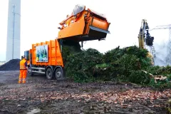 Weihnachtsbaumkompostierung