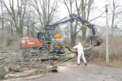 Beseitigung der Sturmschäden