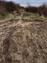 Widerrechtliche Nutzung der Deponie Möckern