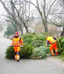 Aus Baum wird Hocker - Workshop am 01.02.