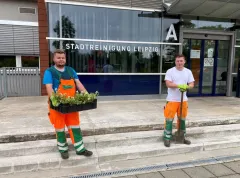 Gärtner-Azubis erfolgreich im Wettbewerb
