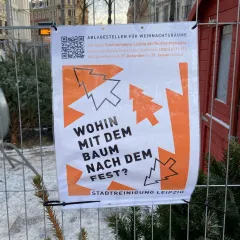 Weihnachtsbaumentsorgung