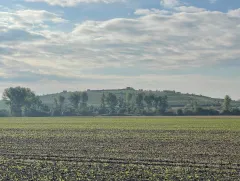 Potentialstudie auf der Deponie Liebertwolkwitz startet