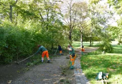 Pflege der Grünanlagen