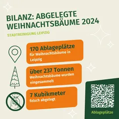 Bilanz legale Weihnachtsbaum-Ablage 2024
