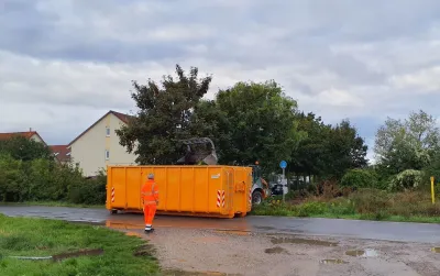 Illegale Entsorgung von Grünschnitt