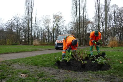 Spende ermöglicht Rekonstruktionsarbeiten im Mariannenpark