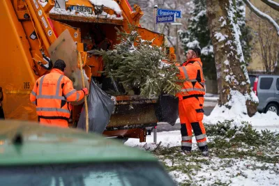 Bilanz abgelegter Weihnachtsbäume 2026