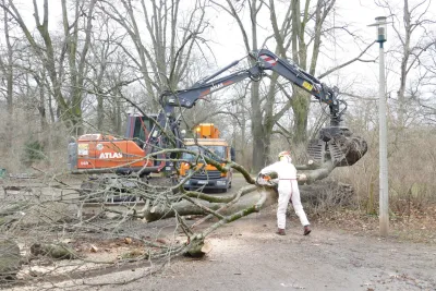 Beseitigung der Sturmschäden
