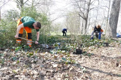 Pflanzaktion für biologische Vielfalt im Johannapark