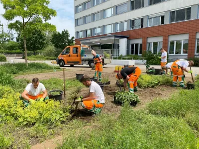 Umgestaltung des Infogartens macht Fortschritte