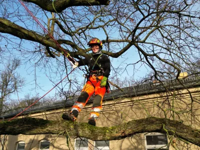 Seilklettertechnik in der Baumpflege