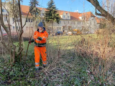 Pflegearbeiten im Arminiushof