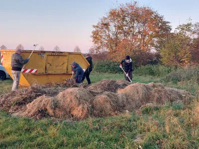 Grünschnitt am Wegesrand zu entsorgen, schadet der Natur