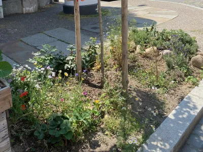 Lieferant für Baumscheibenreinigung gesucht