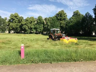 Langgraswiesen im Johannapark gemäht