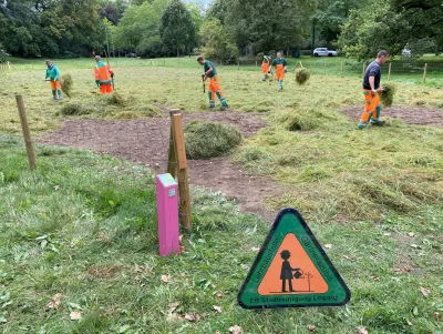Artenreiche Langgraswiesen entstehen im Johannapark