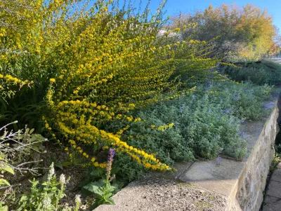 Blickwinkel: Püchauer Straße