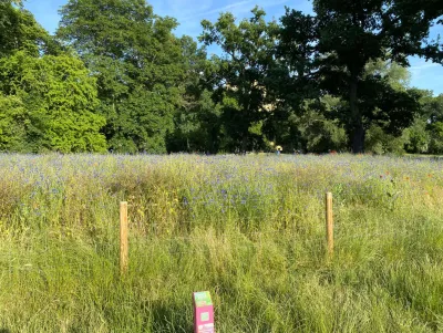 Internationaler Tag der Artenvielfalt