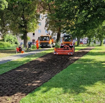 Neue Blühwiesen in Leipzig