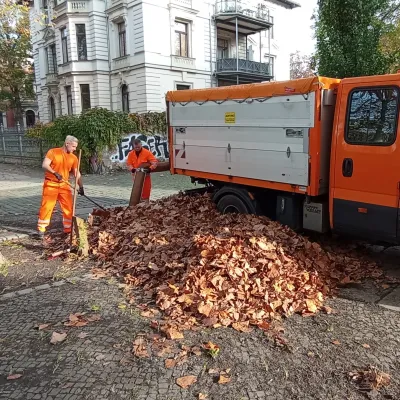 Laubeinsatz im Musikviertel