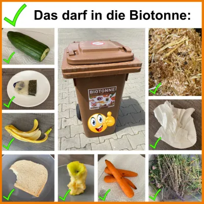 Auf einen Blick: Biotonne und Bioabfall