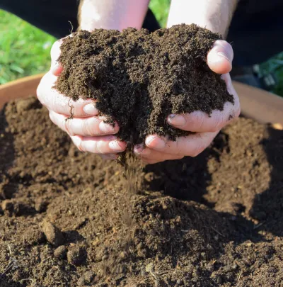 Kostenloser Kompost in Cröbern am 21. März