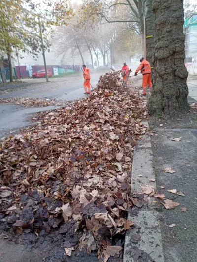 Entschuldigung für den Wirbel