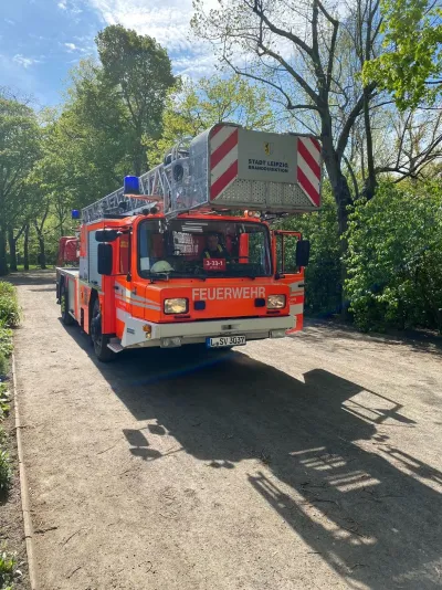 Waschbär in unserem Betriebsobjekt im Mariannenpark
