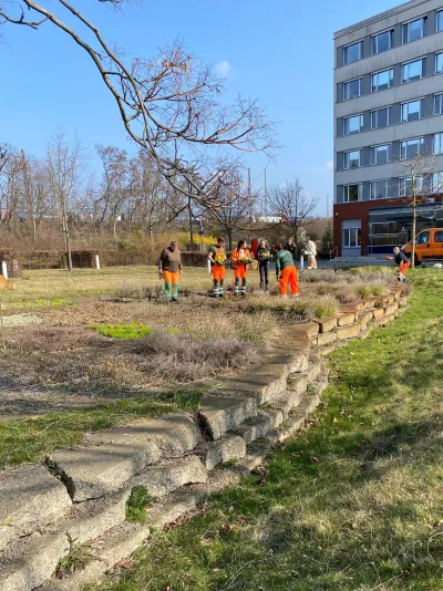 "Schau rein" bei der Stadtreinigung